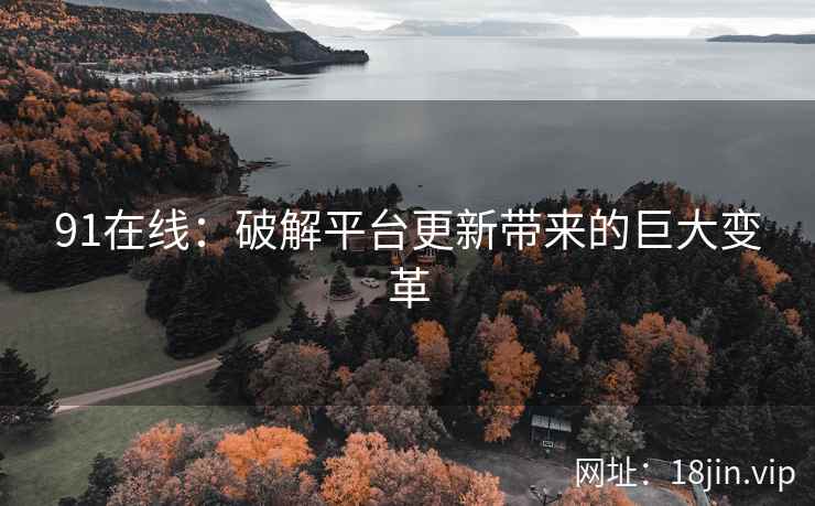 91在线：破解平台更新带来的巨大变革  第2张